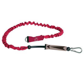Mystic Handlepass Leash Red