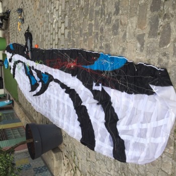 Aile à Caisson Flysurfer Speed 4 (Avec Barre) FBO