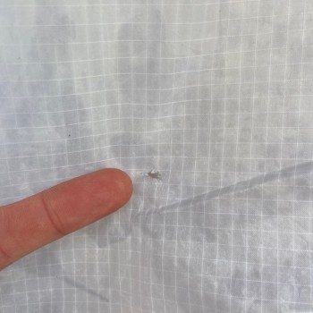 Aile occasion Airush Varial X 12m 2014 Aile occasion Airush Varial X 12m 2014