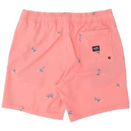 Boardshort Billabong Sundays Pigment LB