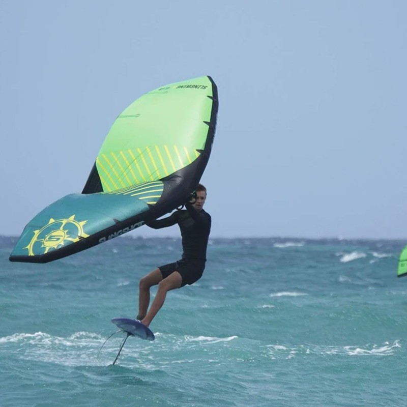 Aile Wing Surfer Slingshot Slingwing V2 2020