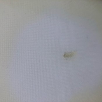 SURF KITE OCCASION DUOTONE HYBRID (SURF/FOIL) 2020 - 5'0