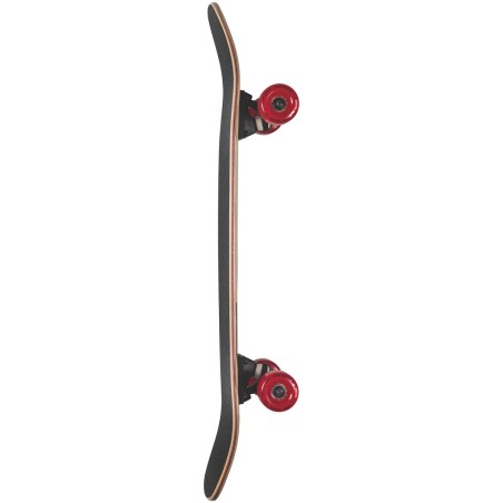 Skate Cruiser Globe Disaster 32" Snakes