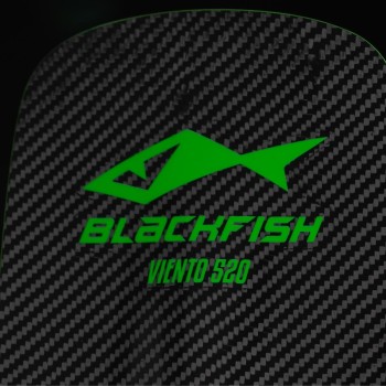 Pagaie Blackfish Viento 520 Carbon Ajustable 2 parties Pagaie Blackfish Viento 520 Carbon Ajustable 2 parties