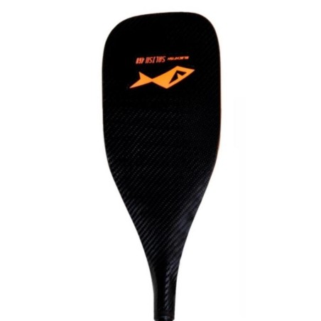 Pagaie Blackfish Salish 500 Carbon