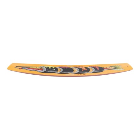 Planche Wakeboard Salmon 2024