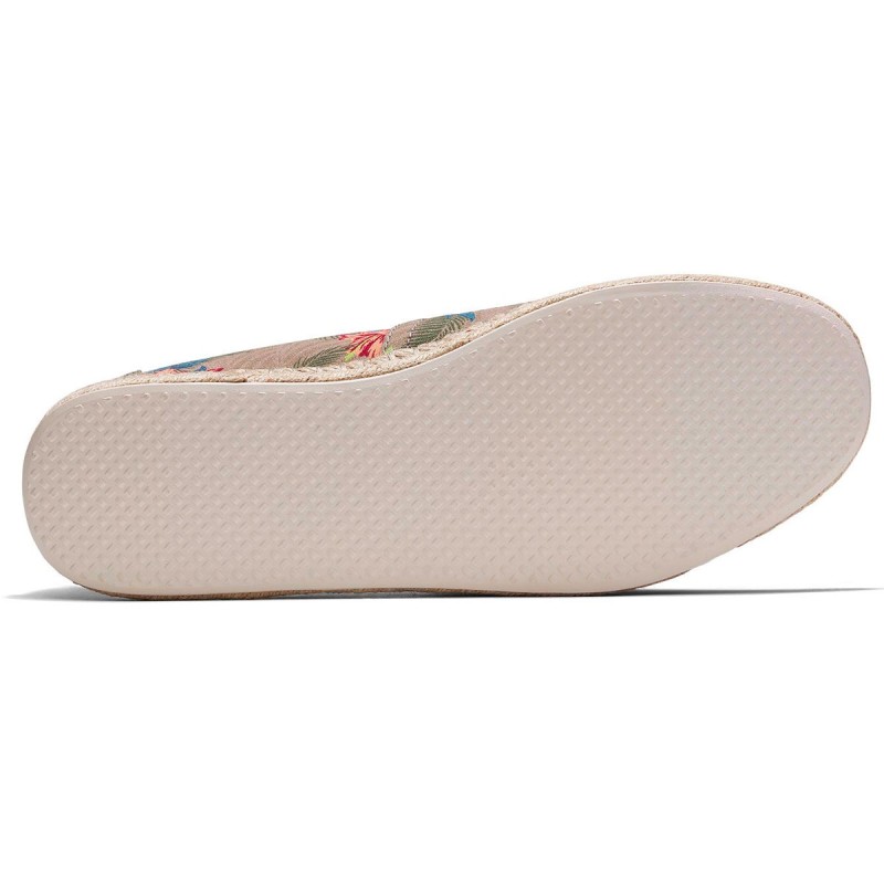 Espadrilles Tropical Toms Espadrilles Tropical Toms