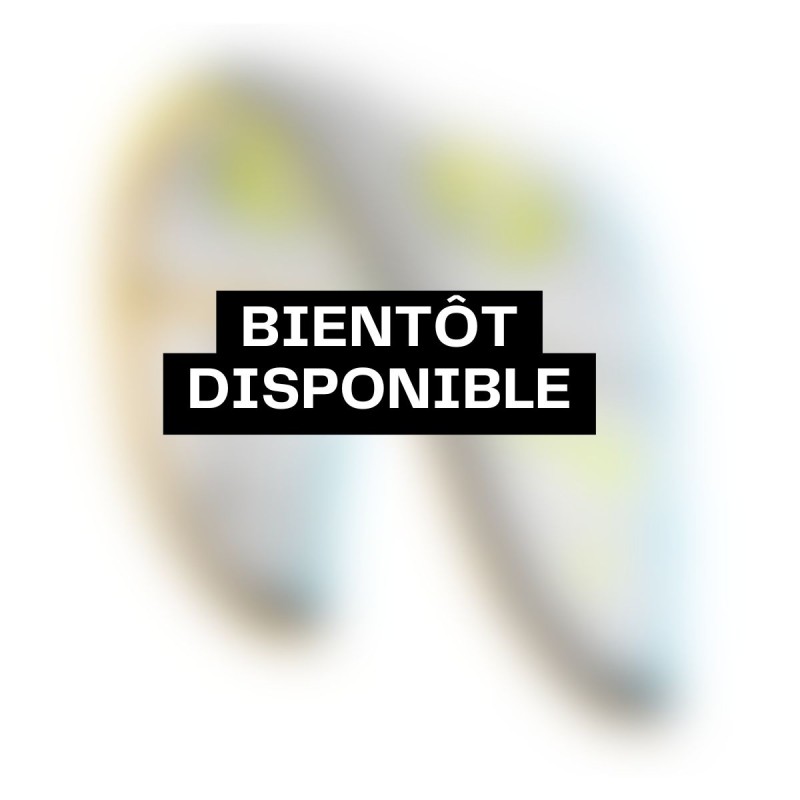 Aile Kitesurf Duotone Evo D/LAB 2026 Aile Kitesurf Duotone Evo D/LAB 2026