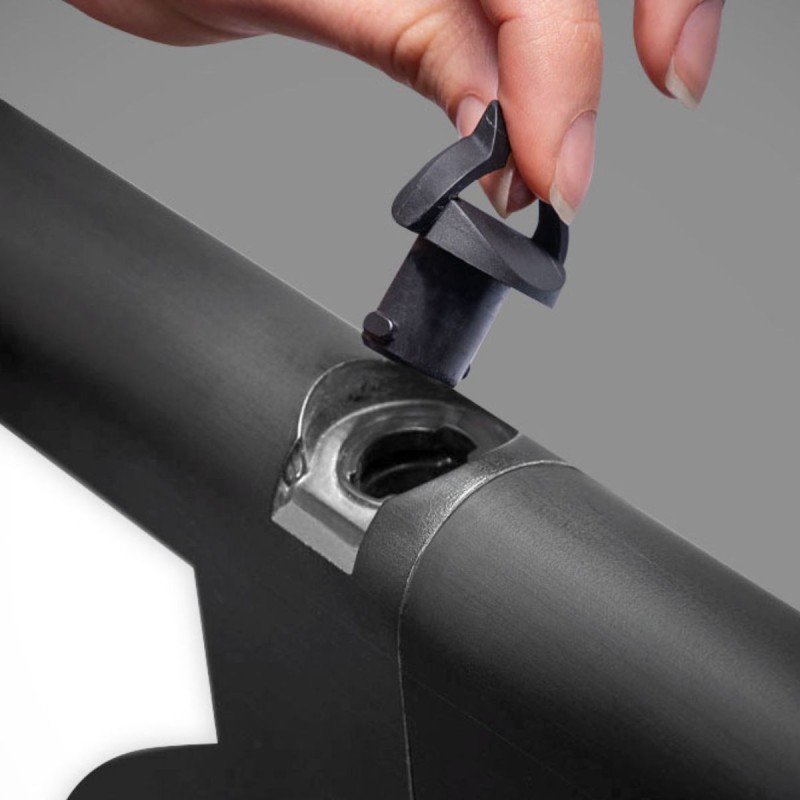 Planche de Surf Newave Fish