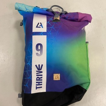 Aile Kitesurf Occasion Harlem THRIVE 2025 9m