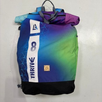 Aile Kitesurf Occasion Harlem THRIVE 2025 8m