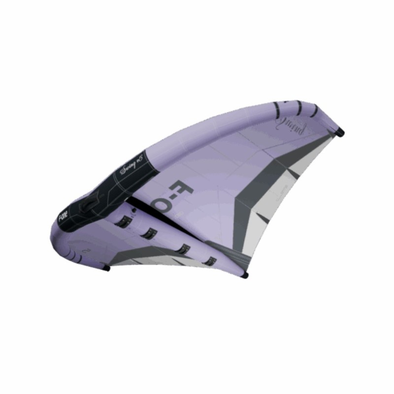 Aile Wing F-ONE Swing V5