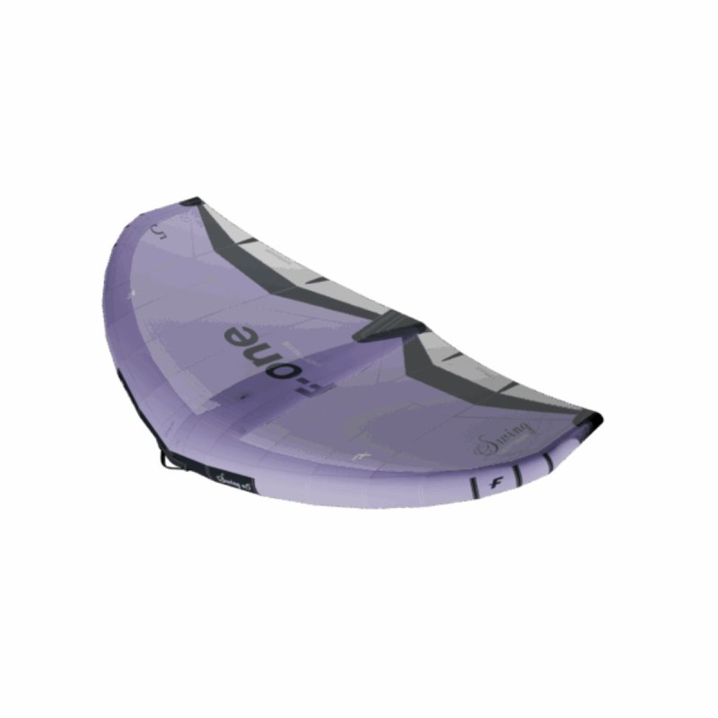 Aile Wing F-ONE Swing V5
