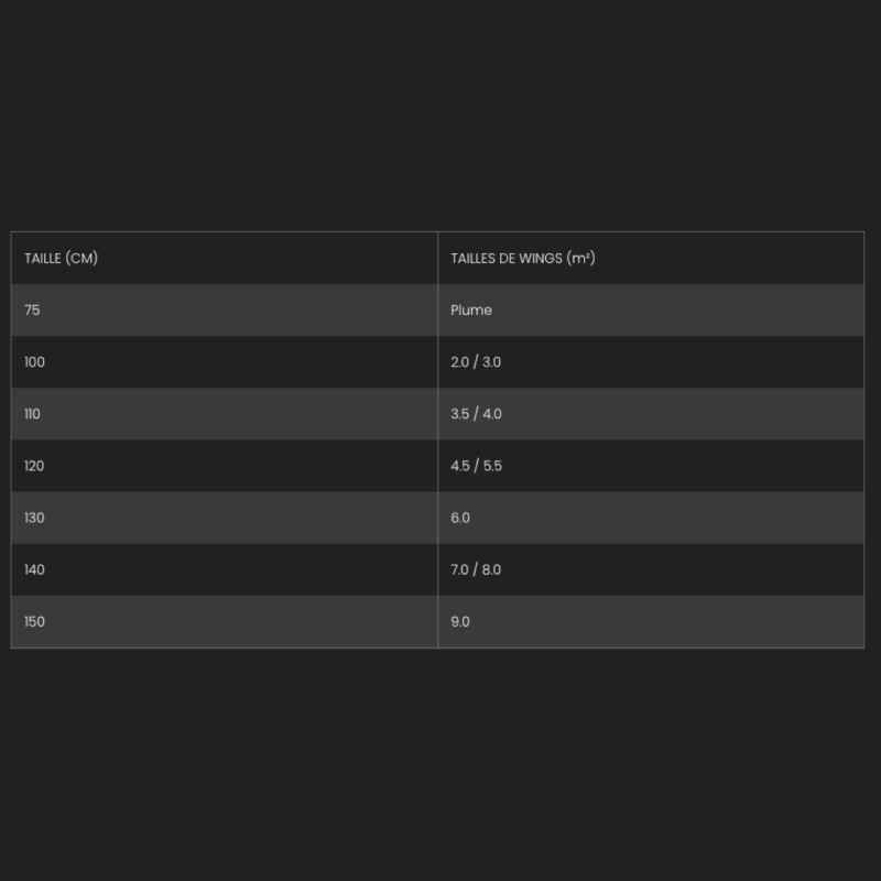 Leash Aile Wing F-ONE