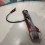 Click bar Duotone occasion 2023