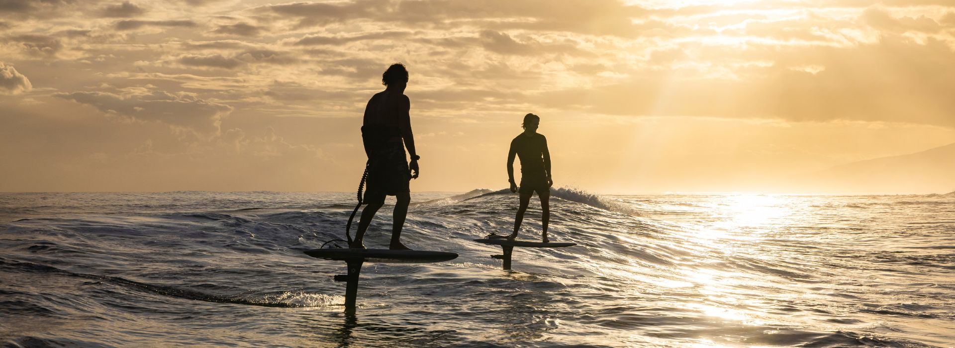 FOIL ASSIST & CRUISE